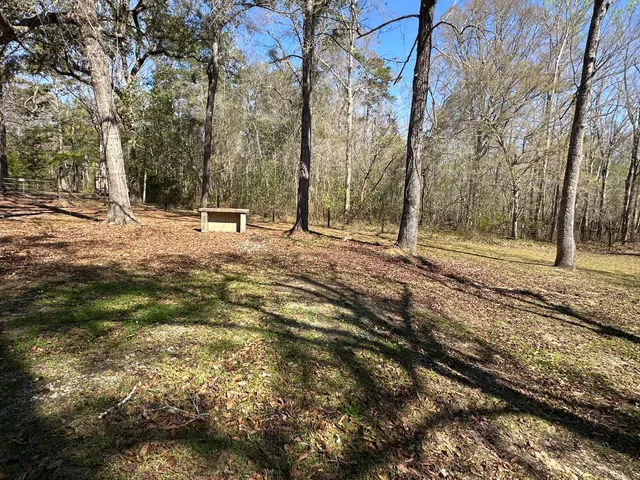 a backyard of a house with lots of green space
