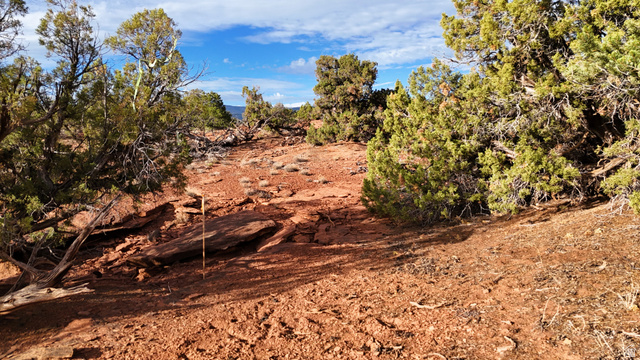 358 South Sky Drive Torrey, UT 84775 - Photo 58 of 82 Expansive natural landscape featuring red earth, scattered rock formations, and mature evergreen trees