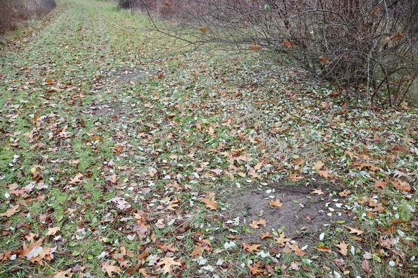 $874,000 | Hatton Road, Harrison, MI 48625