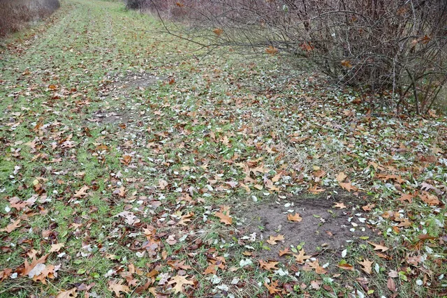 $874,000 | Hatton Road, Harrison, MI 48625