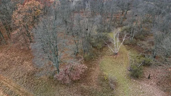 $874,000 | Hatton Road, Harrison, MI 48625