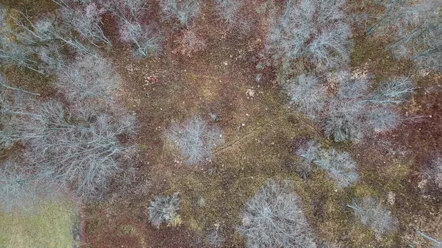 $874,000 | Hatton Road, Harrison, MI 48625