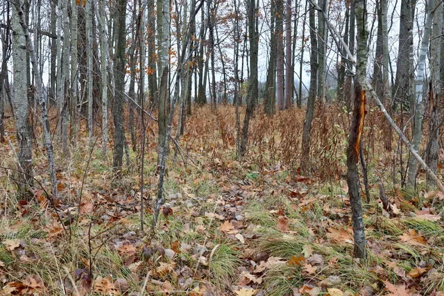 $874,000 | Hatton Road, Harrison, MI 48625