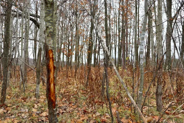 $874,000 | Hatton Road, Harrison, MI 48625