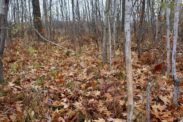 $874,000 | Hatton Road, Harrison, MI 48625