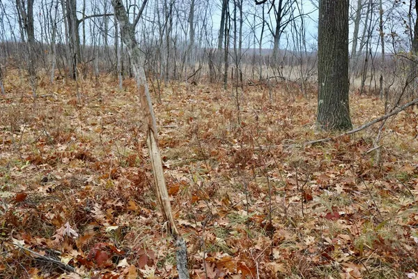 $874,000 | Hatton Road, Harrison, MI 48625