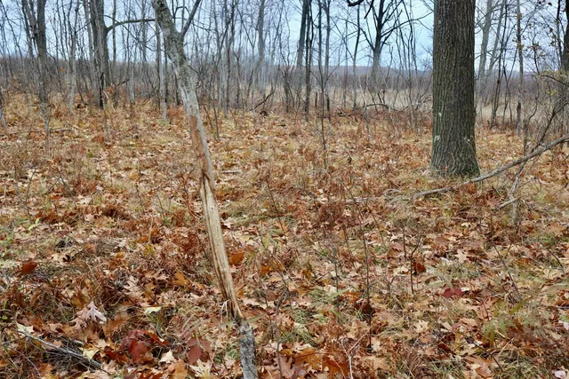 $874,000 | Hatton Road, Harrison, MI 48625