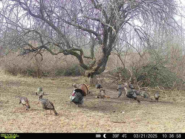 $874,000 | Hatton Road, Harrison, MI 48625