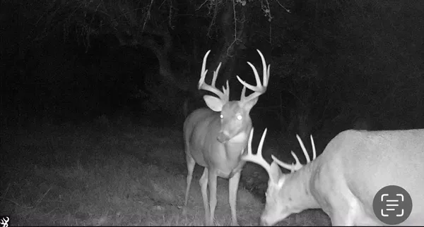 $874,000 | Hatton Road, Harrison, MI 48625