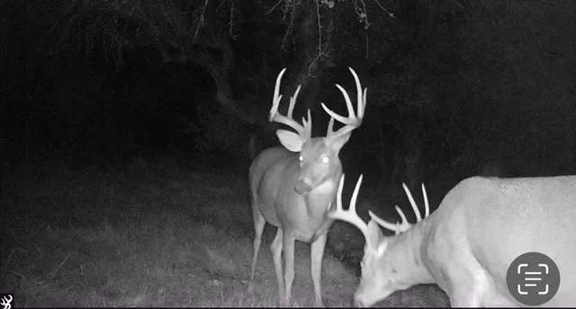 $874,000 | Hatton Road, Harrison, MI 48625