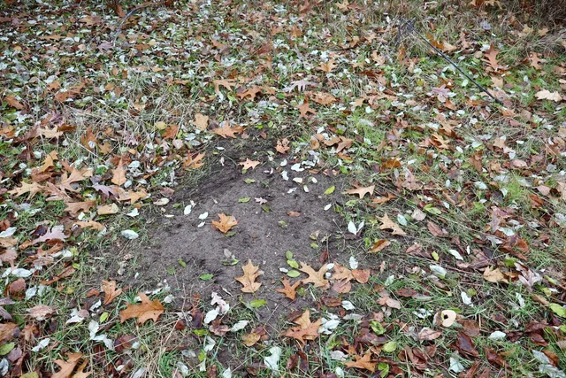 $874,000 | Hatton Road, Harrison, MI 48625