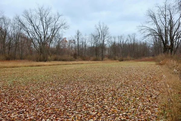 $874,000 | Hatton Road, Harrison, MI 48625