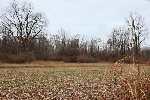 $874,000 | Hatton Road, Harrison, MI 48625