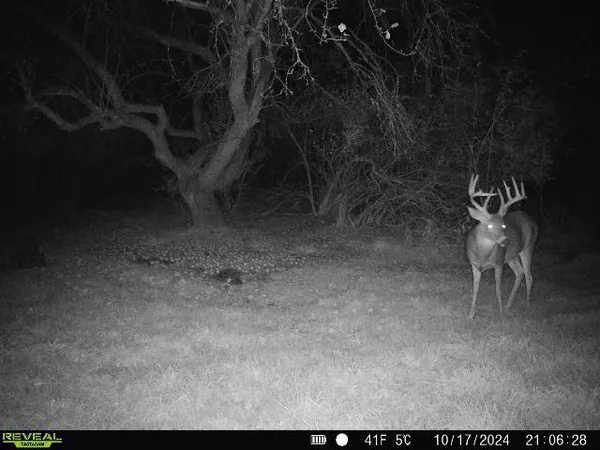 $874,000 | Hatton Road, Harrison, MI 48625