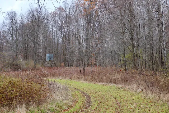 $874,000 | Hatton Road, Harrison, MI 48625