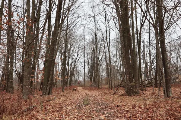 $874,000 | Hatton Road, Harrison, MI 48625