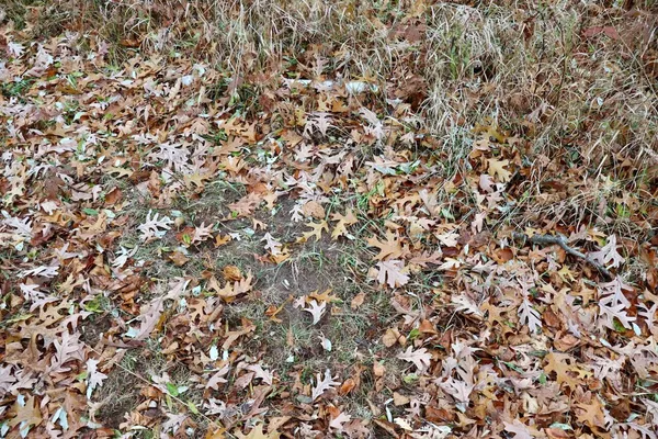 $874,000 | Hatton Road, Harrison, MI 48625