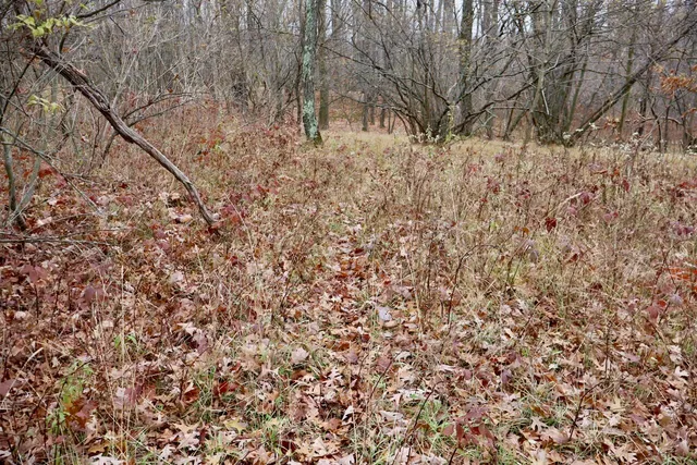 $874,000 | Hatton Road, Harrison, MI 48625