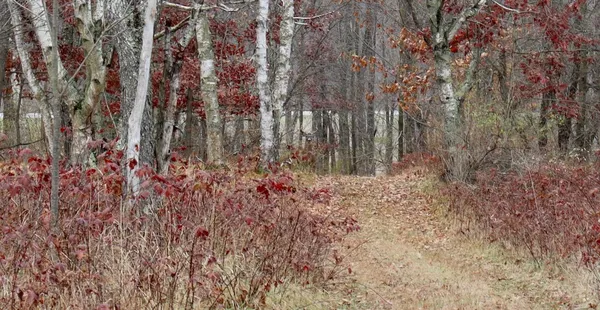 $874,000 | Hatton Road, Harrison, MI 48625