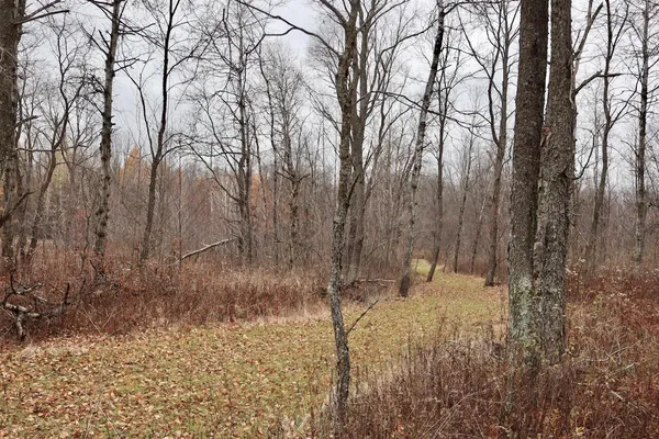 $874,000 | Hatton Road, Harrison, MI 48625