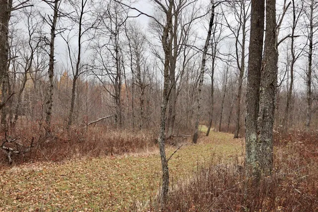 $874,000 | Hatton Road, Harrison, MI 48625