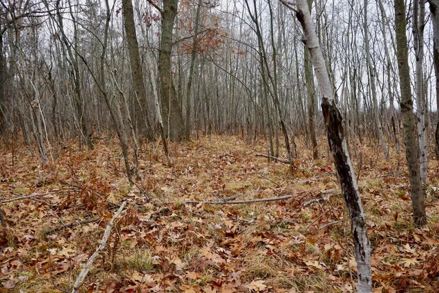 $874,000 | Hatton Road, Harrison, MI 48625