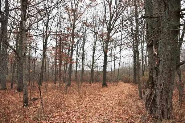 $874,000 | Hatton Road, Harrison, MI 48625