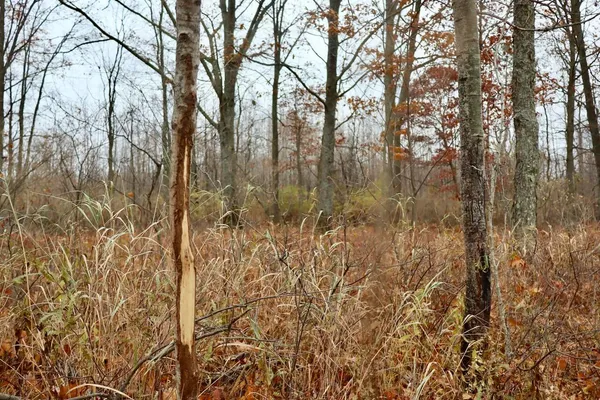 $874,000 | Hatton Road, Harrison, MI 48625