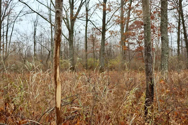 $874,000 | Hatton Road, Harrison, MI 48625