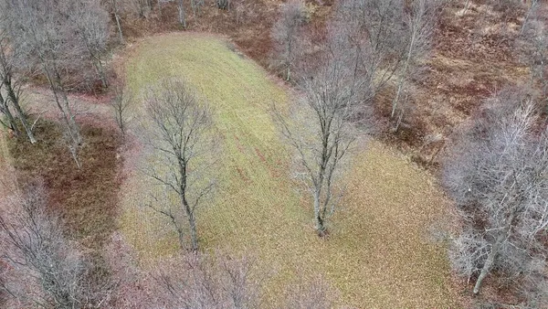 $874,000 | Hatton Road, Harrison, MI 48625