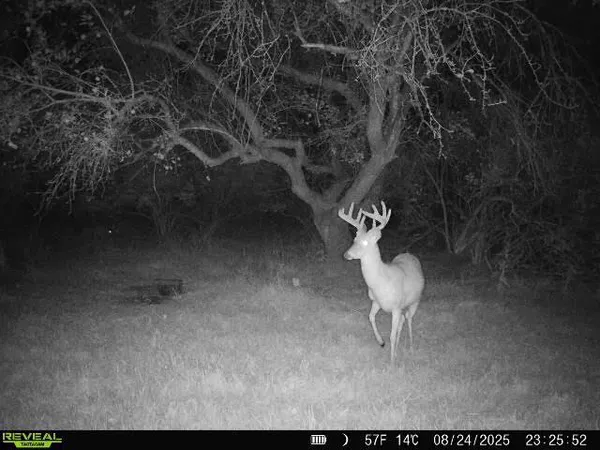 $874,000 | Hatton Road, Harrison, MI 48625