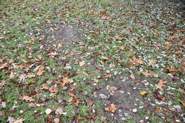 $874,000 | Hatton Road, Harrison, MI 48625