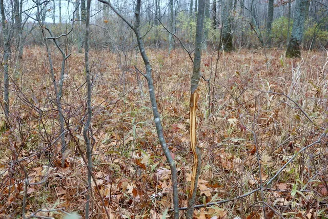 $874,000 | Hatton Road, Harrison, MI 48625