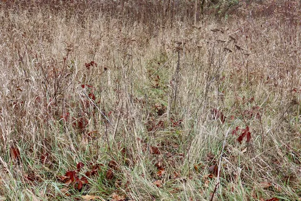 $874,000 | Hatton Road, Harrison, MI 48625