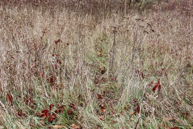 $874,000 | Hatton Road, Harrison, MI 48625