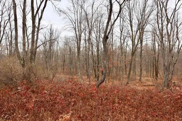 $874,000 | Hatton Road, Harrison, MI 48625