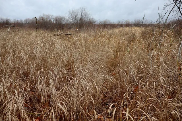 $874,000 | Hatton Road, Harrison, MI 48625