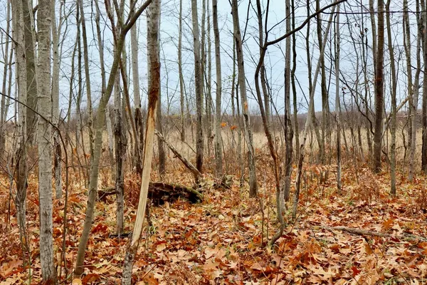 $874,000 | Hatton Road, Harrison, MI 48625