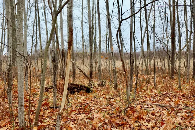 $874,000 | Hatton Road, Harrison, MI 48625