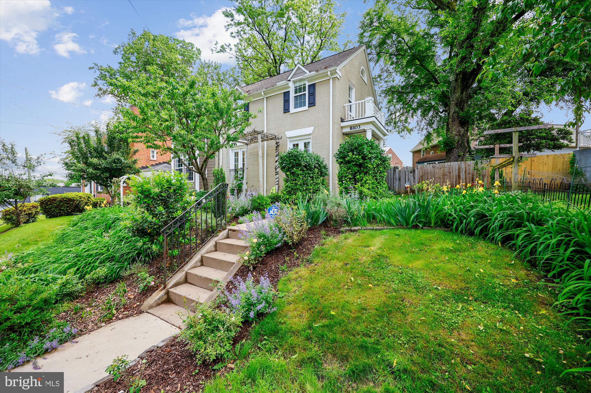 a view of a back yard with plants and a large tree