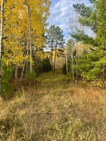 $54,900 | 18686 State Highway, Jacobson, MN 55752