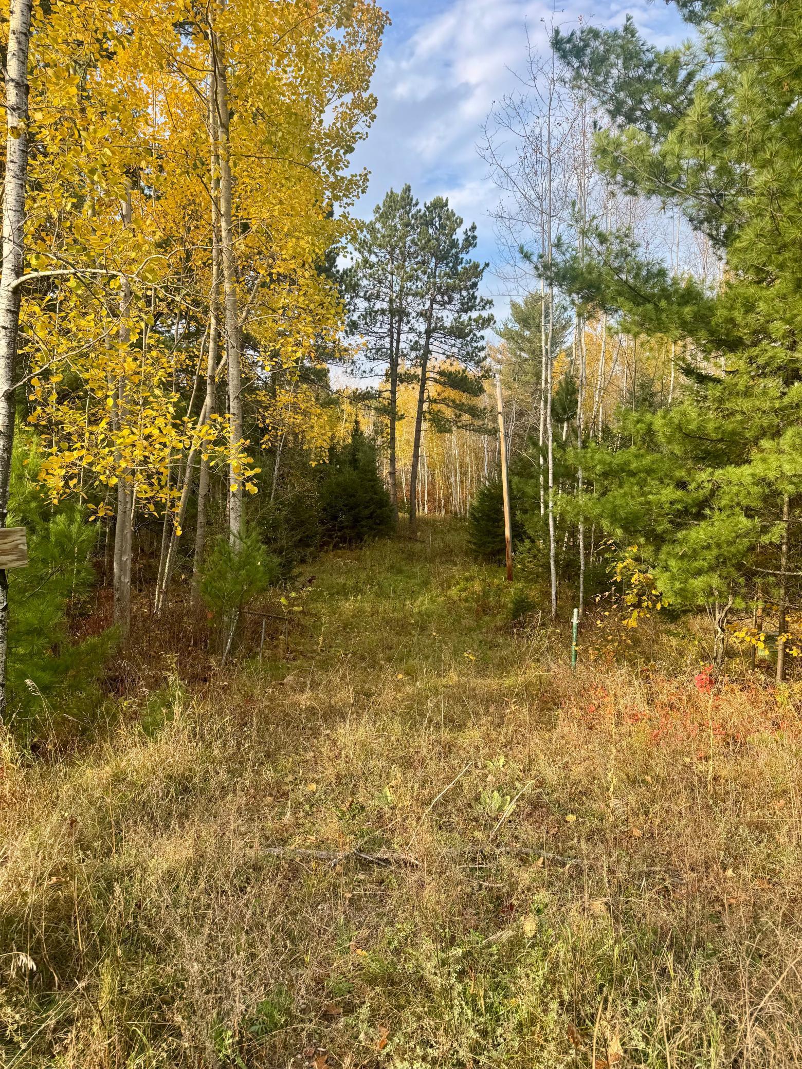 18686 State Highway Jacobson, MN 55752 - Photo 2 of 5