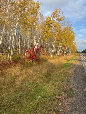 $54,900 | 18686 State Highway, Jacobson, MN 55752