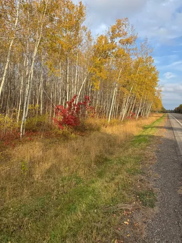 $54,900 | 18686 State Highway, Jacobson, MN 55752