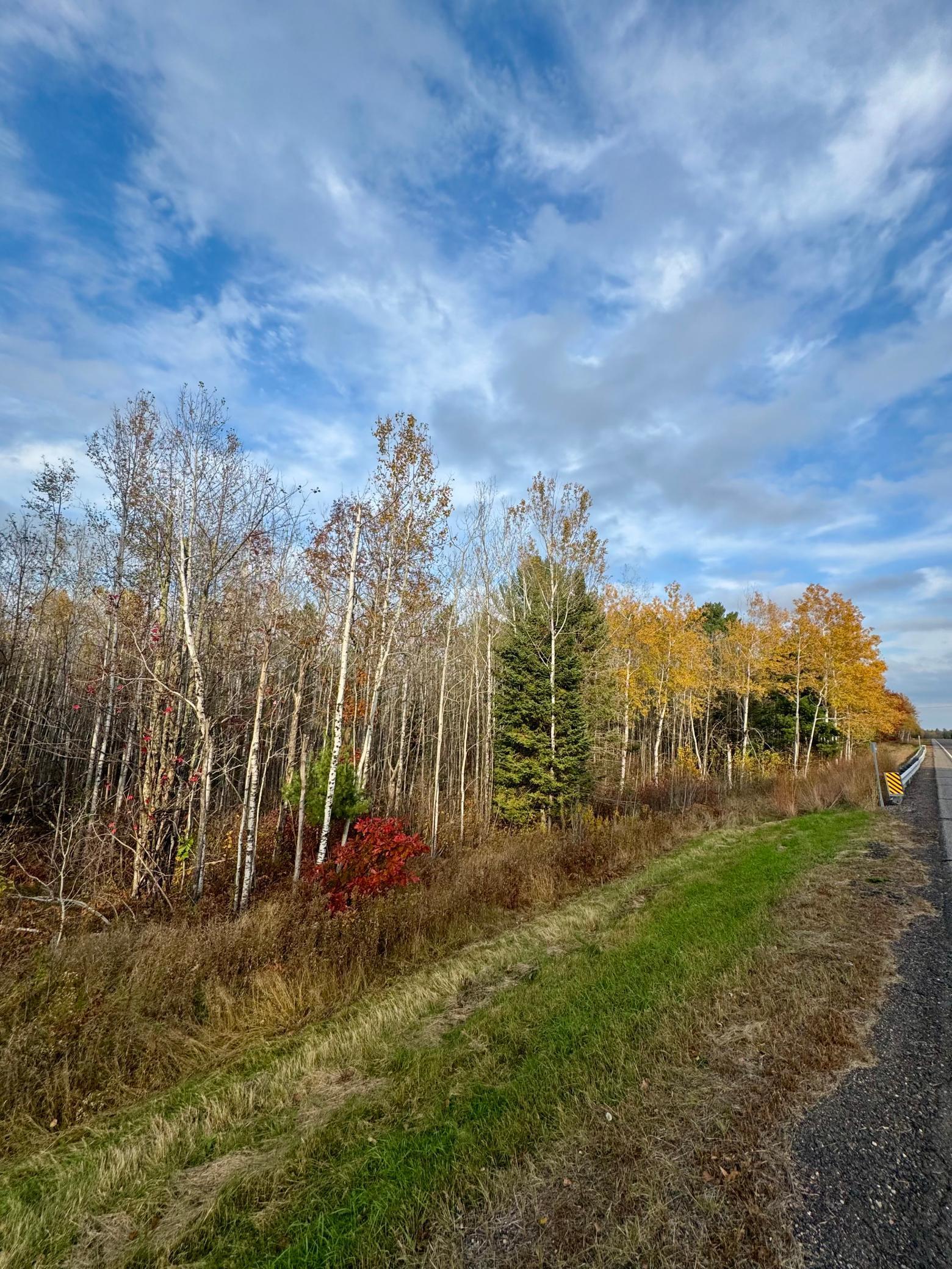 18686 State Highway Jacobson, MN 55752 - Photo 4 of 5