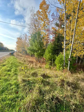 $54,900 | 18686 State Highway, Jacobson, MN 55752