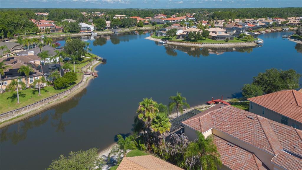 18018 Java Isle Drive Tampa, FL 33647 - Photo 9 of 14