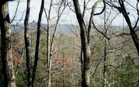 37 Camp Highland Road Ellijay, GA 30540 - Photo 1 of 1 Main View