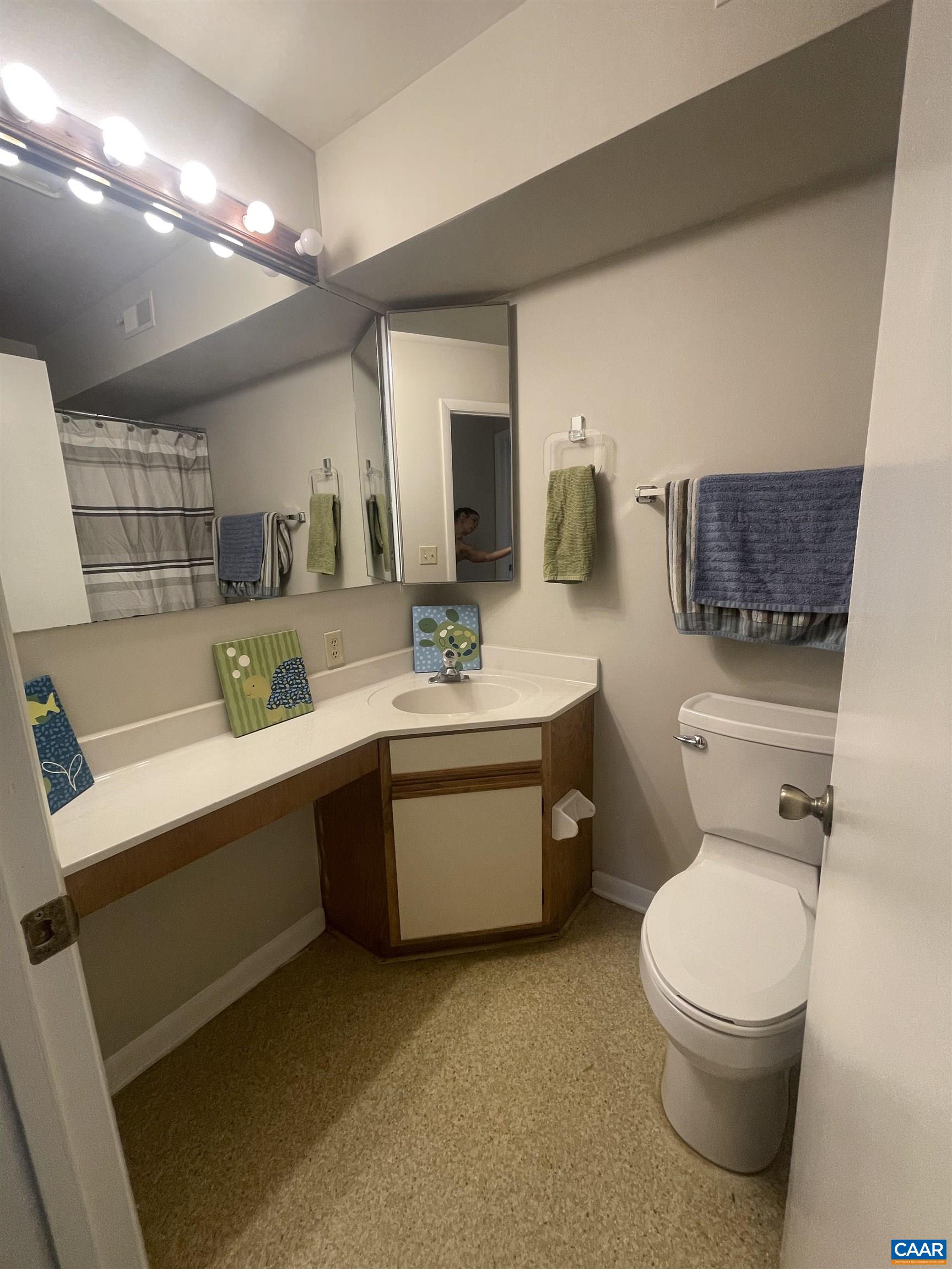 115 Turtle Creek Road, Unit 8 Charlottesville, VA 22901 - Photo 30 of 40 a bathroom with a toilet sink and mirror