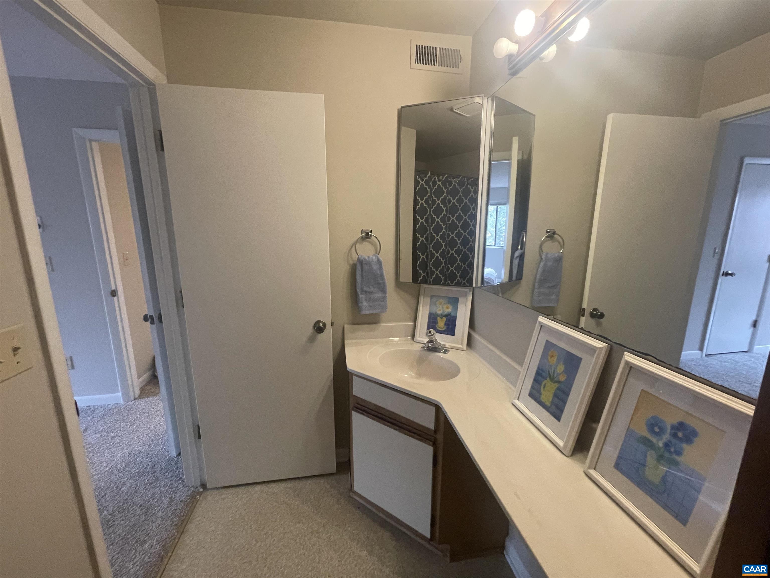 115 Turtle Creek Road, Unit 8 Charlottesville, VA 22901 - Photo 33 of 40 a bathroom with a sink and a mirror